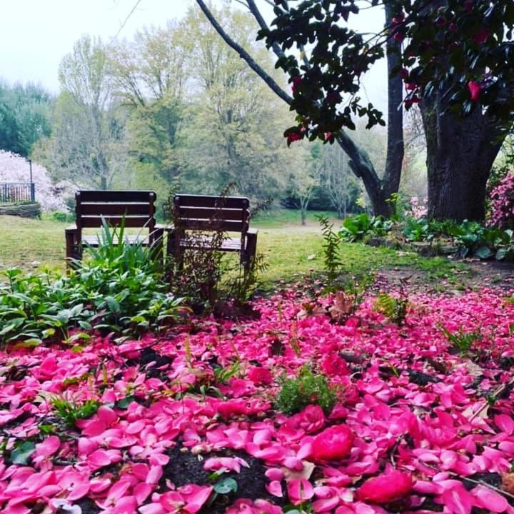 Waterford Manor Bed and Breakfast Rosetta Exteriör bild